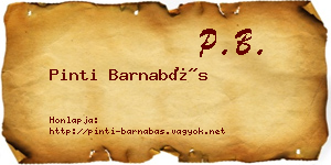 Pinti Barnabás névjegykártya