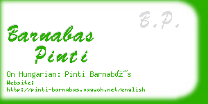 barnabas pinti business card